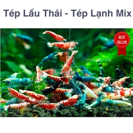 Lẩu Thái - Tép Lạnh Thả Thuỷ Sinh Hỗn Hợp