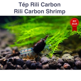Tép Rili Carbon - Rili Đen