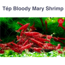 Tép Bloody Mary