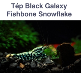 Black Galaxy Fishbone Snowflake - Tép Lạnh