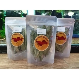 Lá Ổi Rừng Sạch Phơi Khô - Bịch 10 Lá