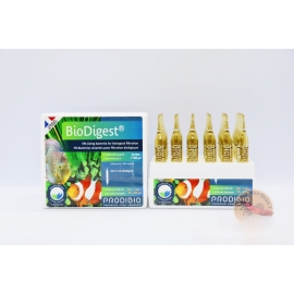 Vi Sinh Tươi Prodibio Biodigest