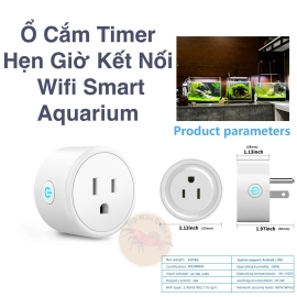 Ổ Cắm Timer Hẹn Giớt Kết Nối Wifi Smart Aquarium