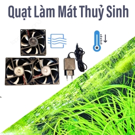 Quạt Thủy Sinh - Hồ Cá Cảnh - Hồ Tép Cảnh