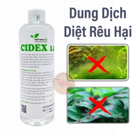 THUYSINHAZ CIDEX 14 Chế Phẩm Phòng Diệt Rêu Hại Hồ Thủy Sinh