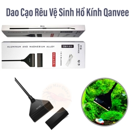 Dao Cạo Rêu Vệ Sinh Hồ Kính Qanvee Q3 - Dụng Cụ Vệ Sinh Hồ