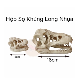 Hóa Thạch Sọ Khủng Long - Trang Trí Hồ Tép - Tép Màu Quận 3
