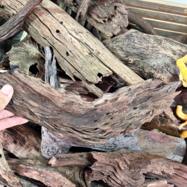 Lũa Miếng San Đá - Lũa Thủy Sinh - Tép Màu Quận 3