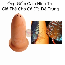 Ống Gốm Cam Hình Trụ - Giá Thể Cho Cá Dĩa Đẻ Trứng