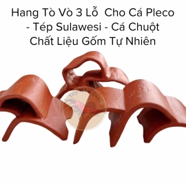 Hang Tò Vò Gốm 3 Lỗ Cho Cá Pleco - Tép Cảnh - Cá Chuột