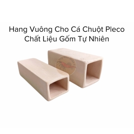 Hang Vuông Gốm Cá Chuột - Pleco - Chất Liệu Gốm Tự Nhiên