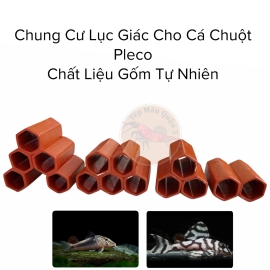 Chung Cư Gốm Lục Giác Cho Cá Chuột - Pleco - Chất Liệu Gốm Tự Nhiên